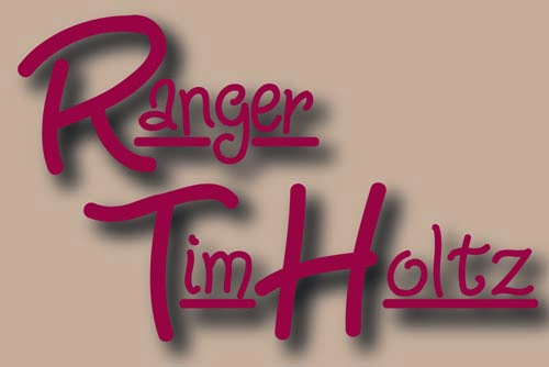 Ranger / Tim Holtz 