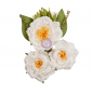 Preview: Prima Marketing Mulberry Paper Flowers - Full Bloom/Spring Abstract 10 Stk.