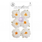 Preview: Prima Marketing Mulberry Paper Flowers - Floral Song/Spring Abstract 6 Stk.
