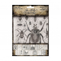 Preview: Tim Holtz Collage Paper - Halloween 2024