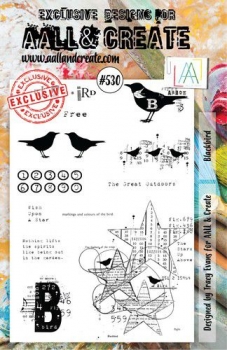 AALL & CREATE Clear Stamps - Blackbird #530