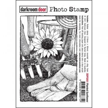 Darkroom Door Stamp - Planted Sunflower