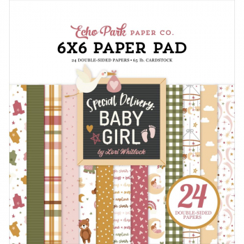 Echo Park Paper Pack - Special Delivery: Baby Girl - 6" x 6"