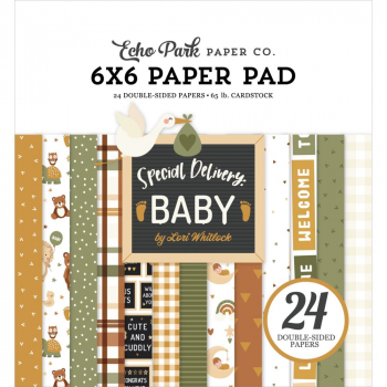 Echo Park Paper Pack - Special Delivery: Baby - 6" x 6"