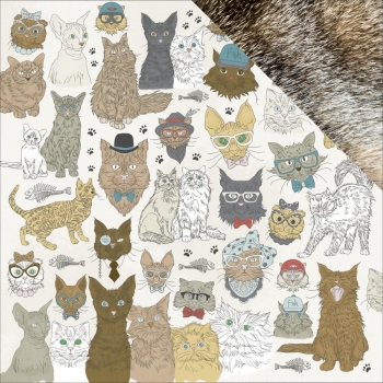 Kaisercraft - Pawfect Collection - Cats 12"