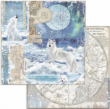 Stamperia - Arctic Antarctic - Wolf 12" x 12"