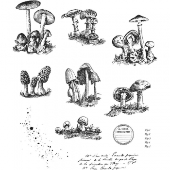 Tim Holtz Stempelset - Tiny Toadstools