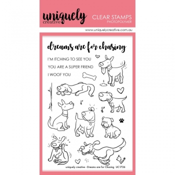 Uniquely Clear Stamps - Dreams are for Chasing