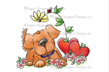 Whipper Snapper Cling - Puppy Love Grows