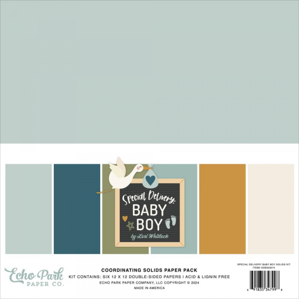 Echo Park - Coordinating Solid Paper Pack - 12" x 12" - Special Delivery Baby Boy