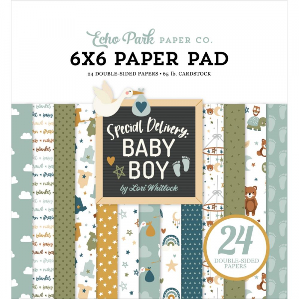 Echo Park Paper Pack - Special Delivery: Baby Boy - 6" x 6"