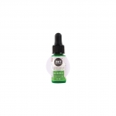 Art Philosophy Watercolor Concentrate - Seagreen 