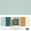 Echo Park - Coordinating Solid Paper Pack - 12" x 12" - Special Delivery Baby Boy