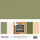 Echo Park - Coordinating Solid Paper Pack - 12" x 12" - Special Delivery Baby