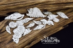 SnipArt Chipboards Sea Treasures – Shells – large set