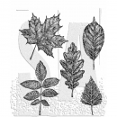 Tim Holtz Stempelset - Sketchy Leaves