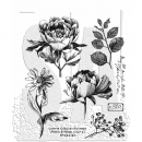 Tim Holtz Stempelset - French Garden