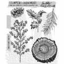 Tim Holtz Stempelset - Forest Floor 2